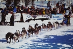 Iditarod 2007 - med Dixie i led (til høyre)