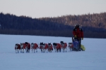Team Mushing Elkonor på vei inn til Koyukuk - foto: Jon Flaa
