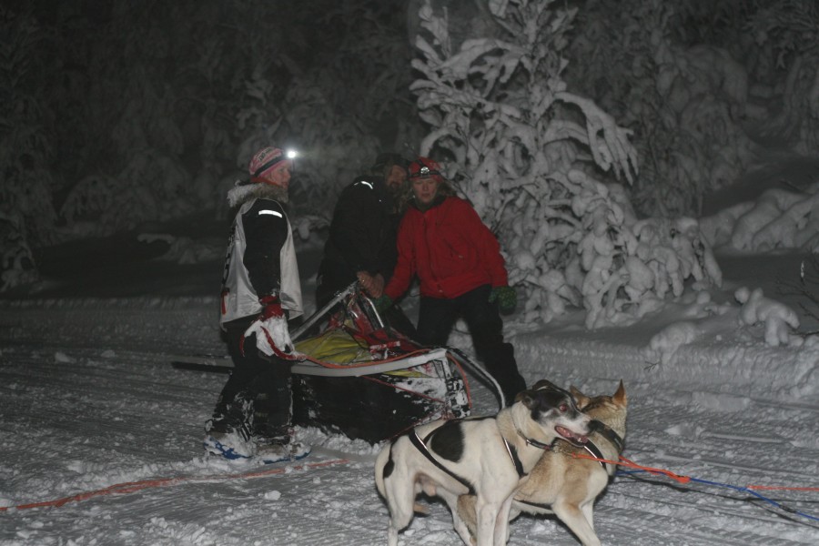 Birgitte Næss Wærner