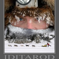 Iditrod
