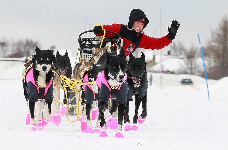 Finnmarksløpet 2010