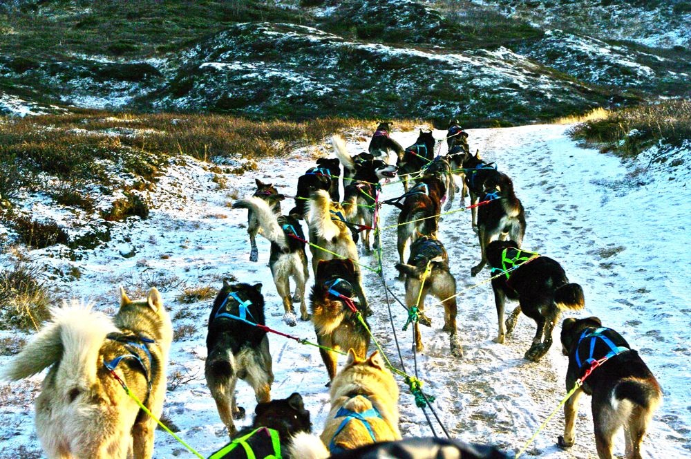 Kraft er krutt. Foto: Cowboy-Erlend