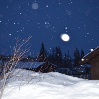 Velkommen til Astridbekkem