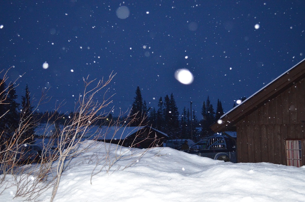 Velkommen til Astridbekkem