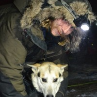 David Wessel Johansen