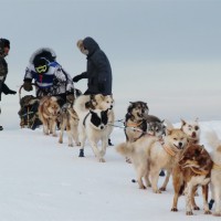 Misha Teplin foto adventurelearning.com