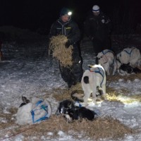 Ralph Johannesen Astridebekken
