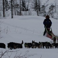 Robert trener 290112 - foto: Marit Stratton