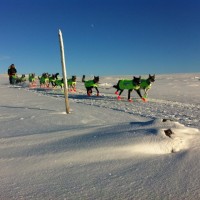 Emil Inauen 6 km før Søvollen foto: Hans Petter Dalby