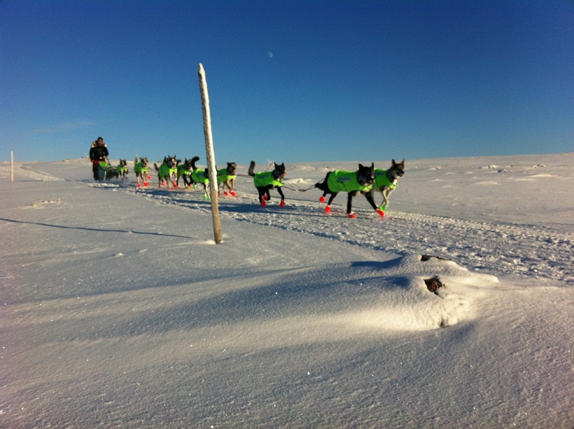 Emil Inauen 6 km før Søvollen foto: Hans Petter Dalby