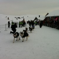 Ralph Johannesen inn Roros