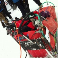 Sleden til VIbeke Grytbak