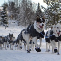 Ralph Johannesen inn Søvollen