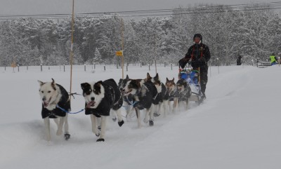 Ralph Grimsbu2 Ralph Grimsbu2