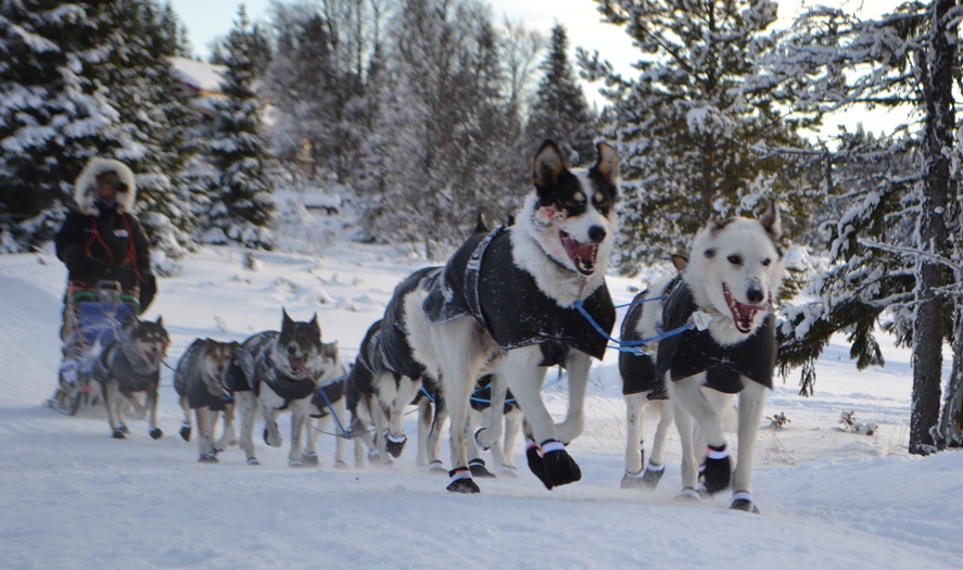 Ralph Johannesen inn Søvollen