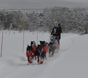 Robert S Grimsbu 2 Robert S Grimsbu 2