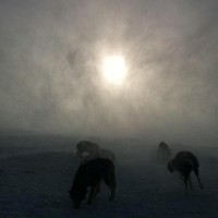 Uvær på Fagerheim Uvær på Fagerheim