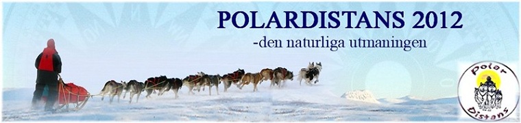 Polardistans 2012