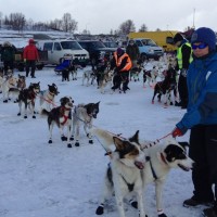 Ralph Johannesen spann