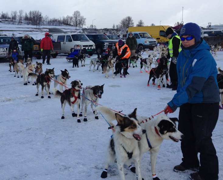 Ralph Johannesen spann