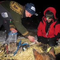 Sigrid Ekran snacker i Takotna