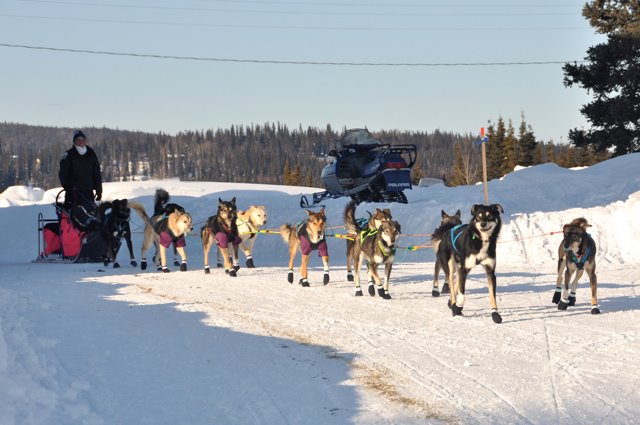 Sigrid ut fra Nulato Foto Trude L. Paulsson