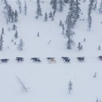 Sigrid Ekran på vei mot Cripple