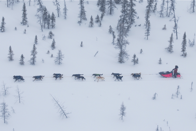 Sigrid Ekran på vei mot Cripple