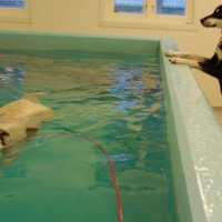 Wilma og Kry hos Marie