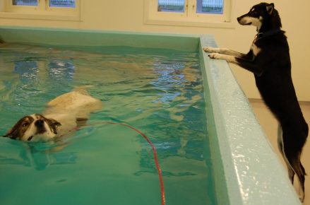 Wilma og Kry hos Marie