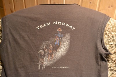 T-skjorte Team Norway