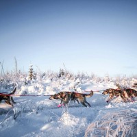 Markus Ingebretsen - foto Luther Buhr