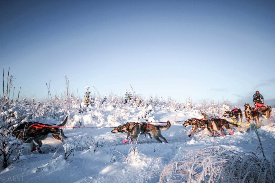 Markus Ingebretsen - foto Luther Buhr