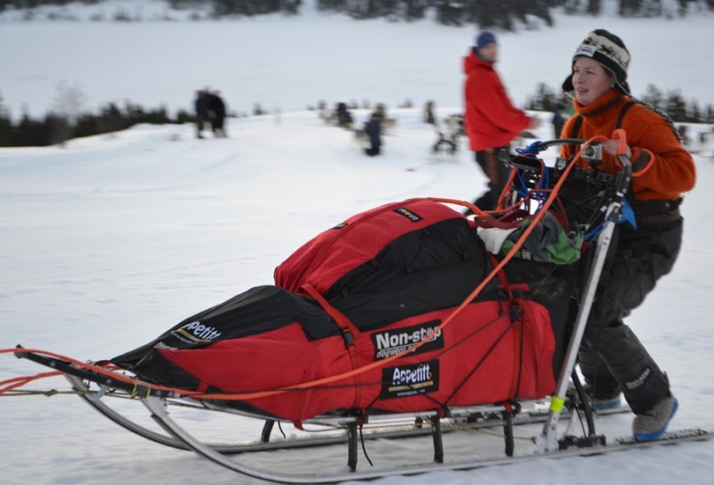 Birgitte Næss Wærner