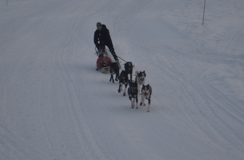 Sebastian ned bakken