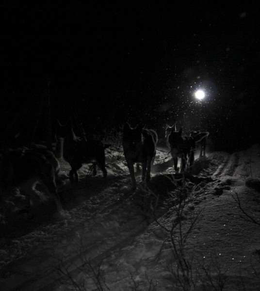 Stemning Alta 2 dagers