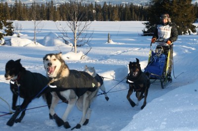 Stine Berget Nordvik_web