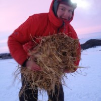 Ola Brennodden Sunde