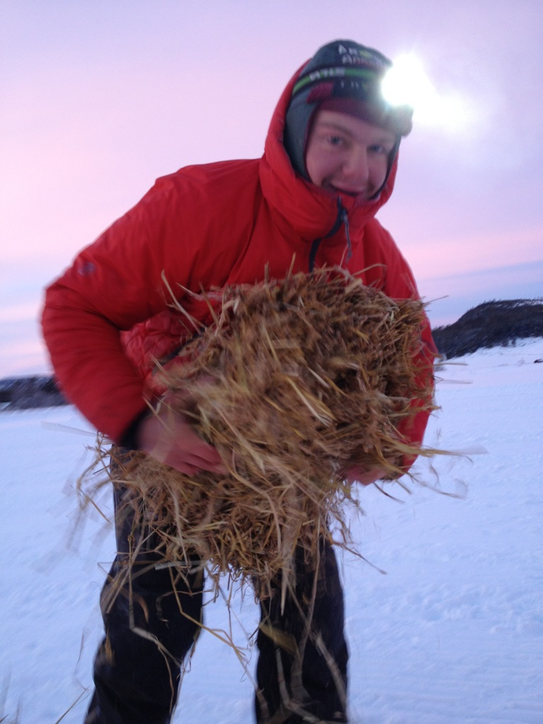 Ola Brennodden Sunde