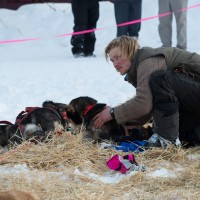 Markus - Alistair Maitland