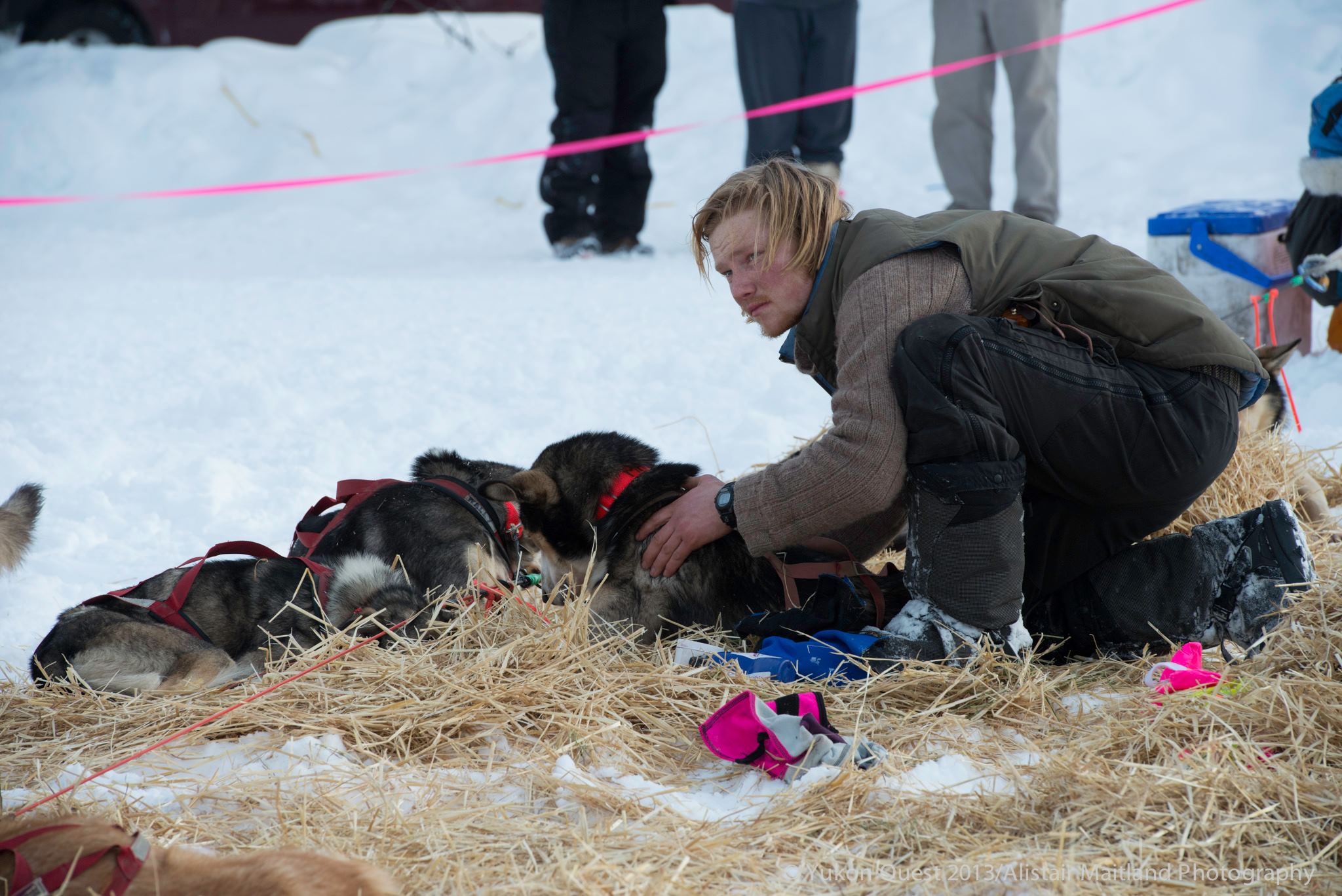 Markus - Alistair Maitland