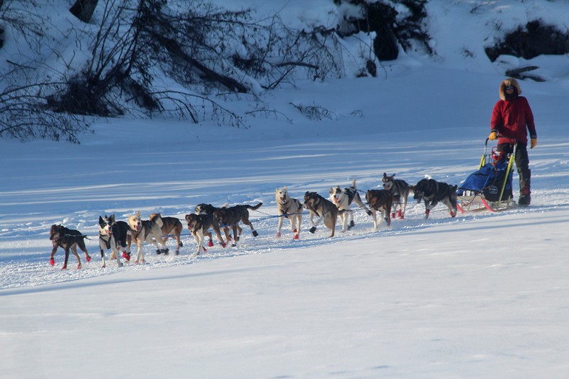 09joar_coming_to_nikolai_01