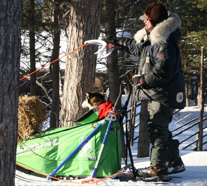 Karasjok, Hugh, hund i sleden