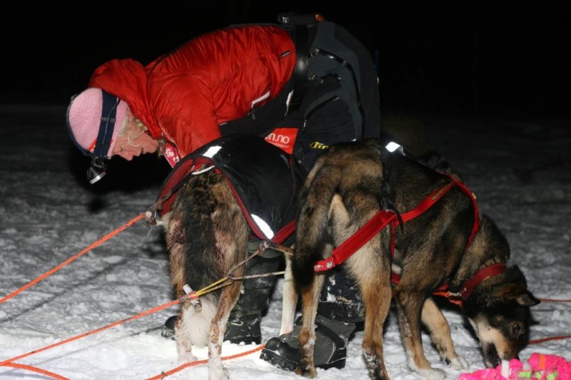 Neiden II, Inger Marie Haaland inn