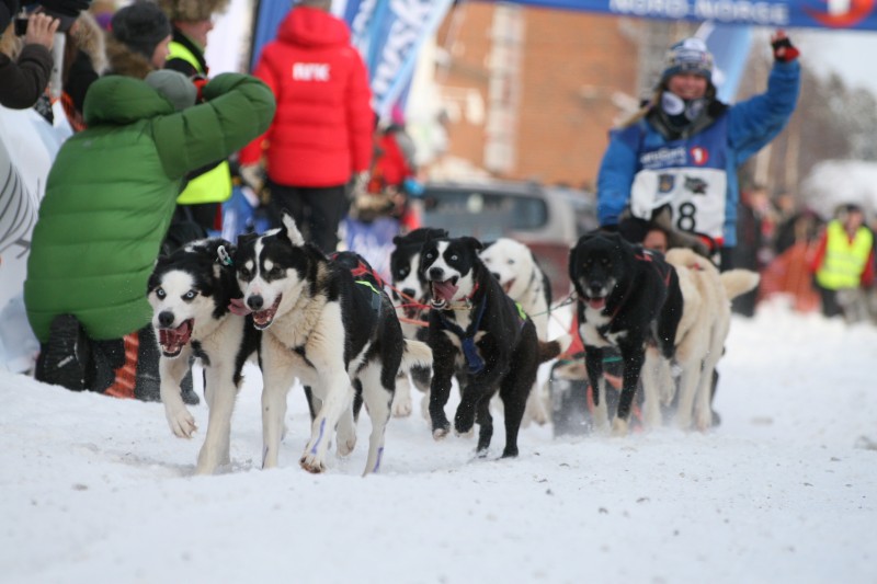 Start Marianne Skjøthaug