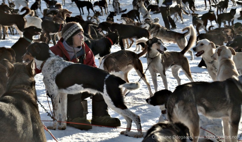 Elisabeth i hundene christiane