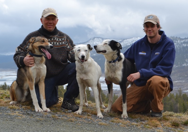 Petter og Joar og hunder