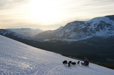 941715_522331484470356_1875747183_n