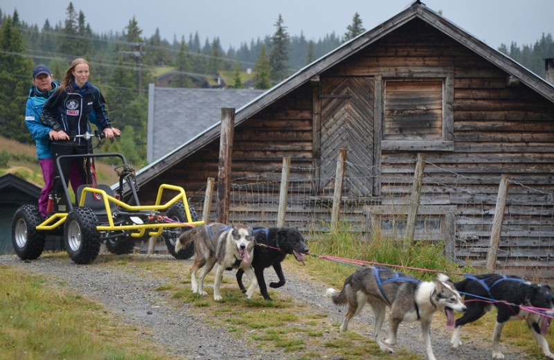 Nina og Nina Lillestu