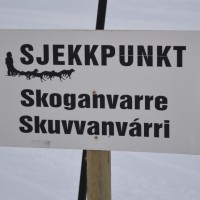 Skoganvarre
